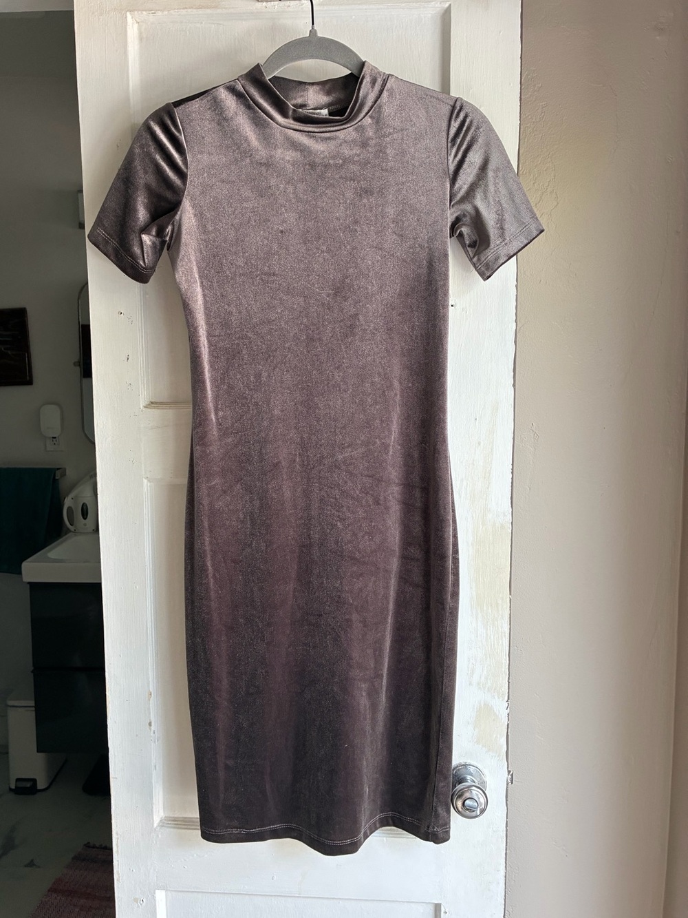Zara TRF Silver/Pewter Mockneck Velvet Dress